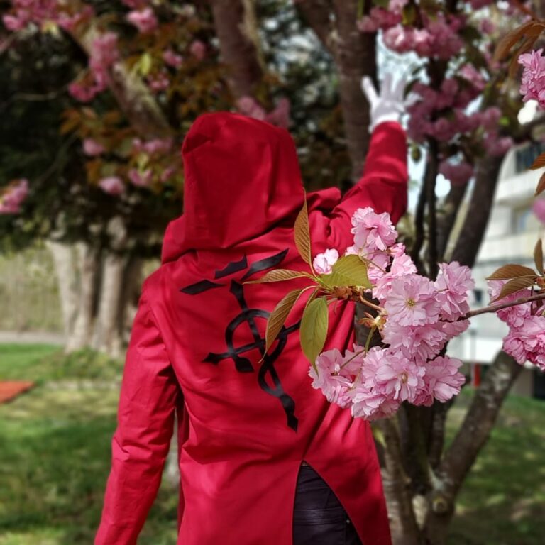 full metal alchimist cosplay